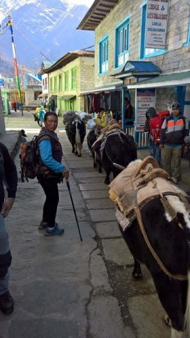 Berettyóújfaluból a Himalájára 16